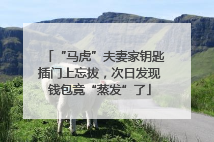 “马虎”夫妻家钥匙插门上忘拔，次日发现钱包竟“蒸发”了