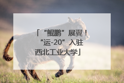 “鲲鹏”展翼！“运-20”入驻西北工业大学