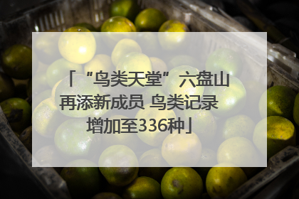 “鸟类天堂”六盘山再添新成员 鸟类记录增加至336种