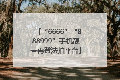 “6666”“888999”手机靓号再登法拍平台