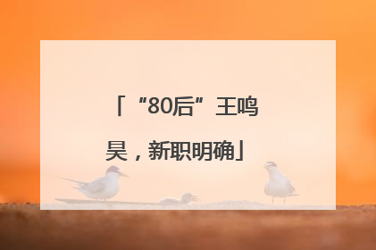 “80后”王鸣昊，新职明确