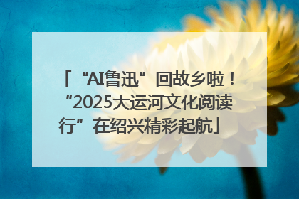 “AI鲁迅”回故乡啦！“2025大运河文化阅读行”在绍兴精彩起航