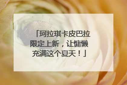 珂拉琪卡皮巴拉限定上新，让慵懒充满这个夏天！