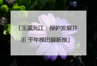 玉溪元江：保护发展并重 千年梯田展新颜