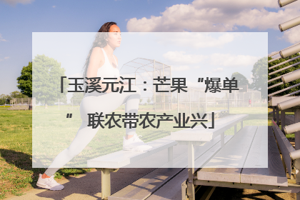 玉溪元江：芒果“爆单” 联农带农产业兴
