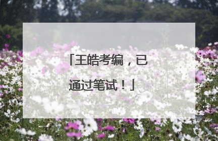 王皓考编，已通过笔试！