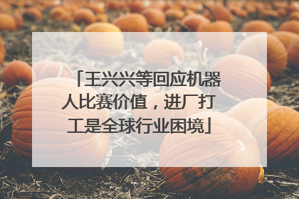 王兴兴等回应机器人比赛价值，进厂打工是全球行业困境