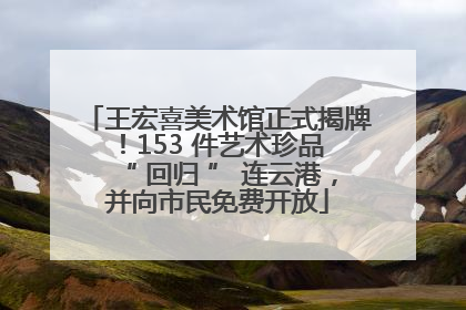 王宏喜美术馆正式揭牌！153 件艺术珍品 “ 回归 ” 连云港，并向市民免费开放