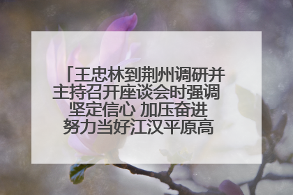 王忠林到荆州调研并主持召开座谈会时强调 坚定信心 加压奋进 努力当好江汉平原高质量发展排头兵