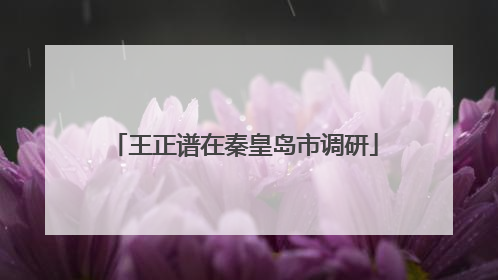王正谱在秦皇岛市调研