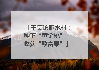 王集镇响水村：种下“黄金桃” 收获“致富果”