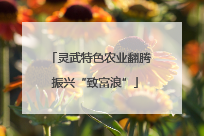 灵武特色农业翻腾振兴“致富浪”