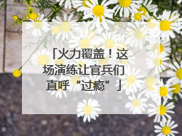 火力覆盖！这场演练让官兵们直呼“过瘾”