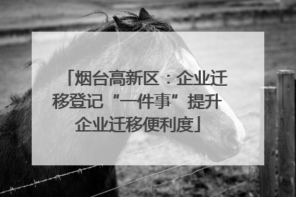 烟台高新区：企业迁移登记“一件事”提升企业迁移便利度