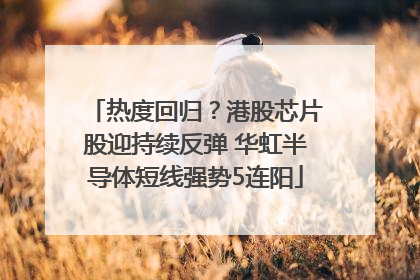 热度回归？港股芯片股迎持续反弹 华虹半导体短线强势5连阳