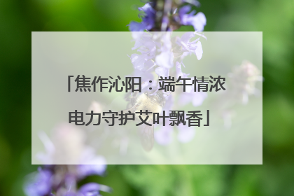 焦作沁阳：端午情浓 电力守护艾叶飘香
