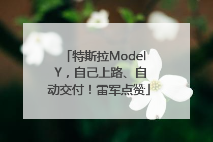 特斯拉Model Y，自己上路、自动交付！雷军点赞