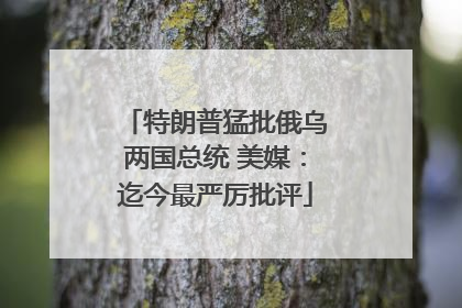 特朗普猛批俄乌两国总统 美媒：迄今最严厉批评