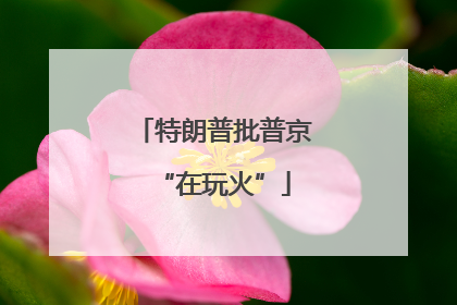 特朗普批普京“在玩火”