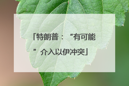 特朗普：“有可能”介入以伊冲突