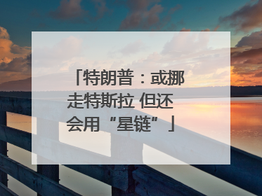 特朗普：或挪走特斯拉 但还会用“星链”