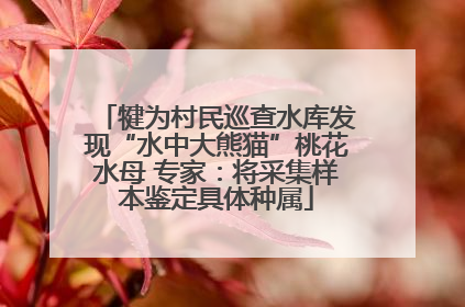 犍为村民巡查水库发现“水中大熊猫”桃花水母 专家：将采集样本鉴定具体种属