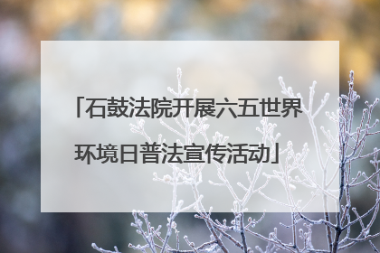 石鼓法院开展六五世界环境日普法宣传活动