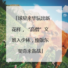 球星来华玩出新花样，“高僧”文班入少林，瘦版东契奇来备战
