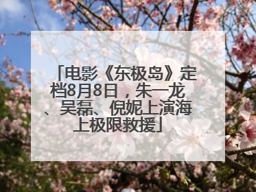 电影《东极岛》定档8月8日，朱一龙、吴磊、倪妮上演海上极限救援