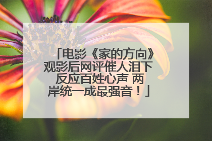 电影《家的方向》观影后网评催人泪下 反应百姓心声 两岸统一成最强音！