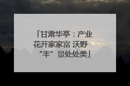 甘肃华亭：产业花开家家富 沃野“丰”景处处美