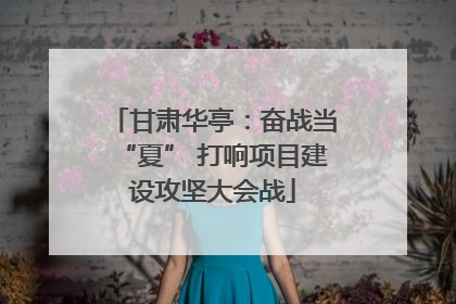 甘肃华亭：奋战当“夏” 打响项目建设攻坚大会战