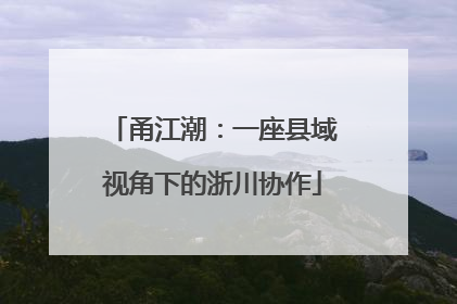 甬江潮：一座县域视角下的浙川协作