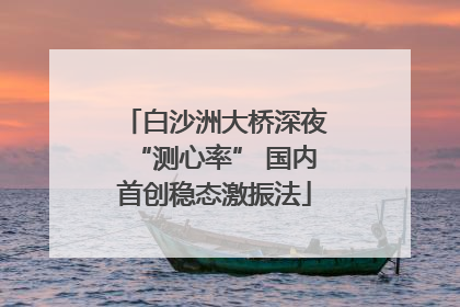 白沙洲大桥深夜“测心率” 国内首创稳态激振法