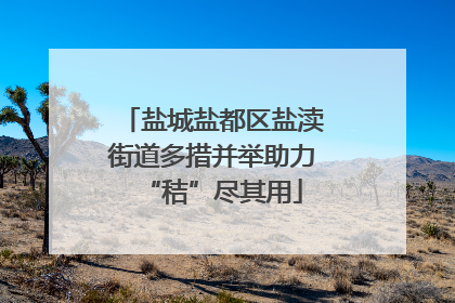盐城盐都区盐渎街道多措并举助力“秸”尽其用