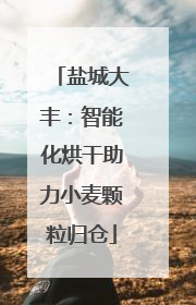 盐城大丰：智能化烘干助力小麦颗粒归仓