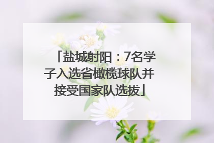 盐城射阳：7名学子入选省橄榄球队并接受国家队选拔