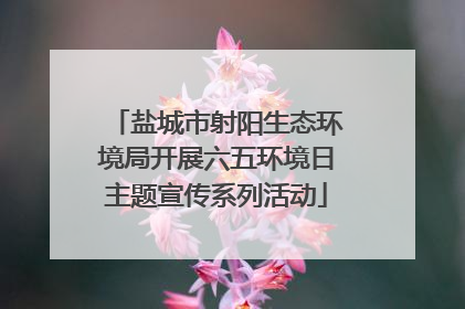 盐城市射阳生态环境局开展六五环境日主题宣传系列活动