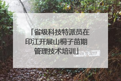 省级科技特派员在印江开展山桐子苗期管理技术培训
