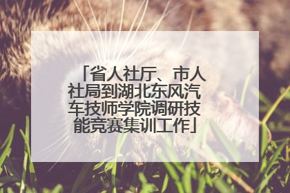 省人社厅、市人社局到湖北东风汽车技师学院调研技能竞赛集训工作