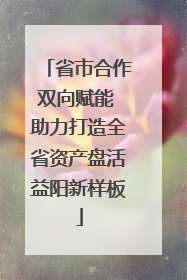 省市合作双向赋能 助力打造全省资产盘活益阳新样板