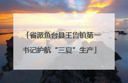 省派鱼台县王鲁镇第一书记护航“三夏”生产