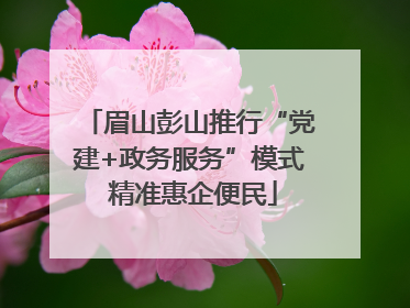眉山彭山推行“党建+政务服务”模式 精准惠企便民