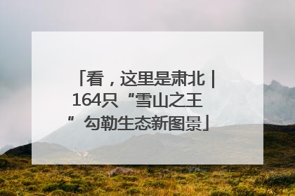 看，这里是肃北｜164只“雪山之王”勾勒生态新图景