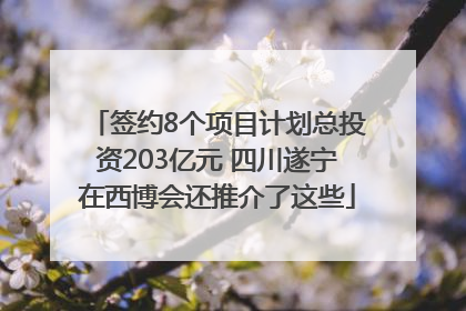 签约8个项目计划总投资203亿元 四川遂宁在西博会还推介了这些