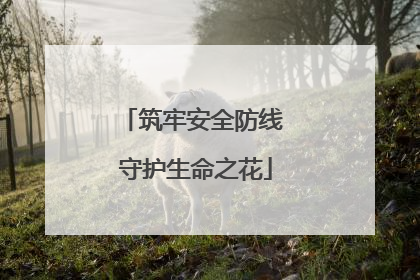 筑牢安全防线 守护生命之花