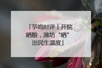 筝鸣时评丨开院晒粮，潍坊“晒”出民生温度