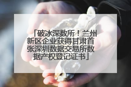 破冰深数所！兰州新区企业获得甘肃首张深圳数据交易所数据产权登记证书