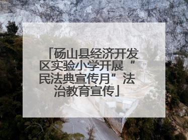 砀山县经济开发区实验小学开展“民法典宣传月”法治教育宣传