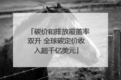 碳价和排放覆盖率双升 全球碳定价收入超千亿美元